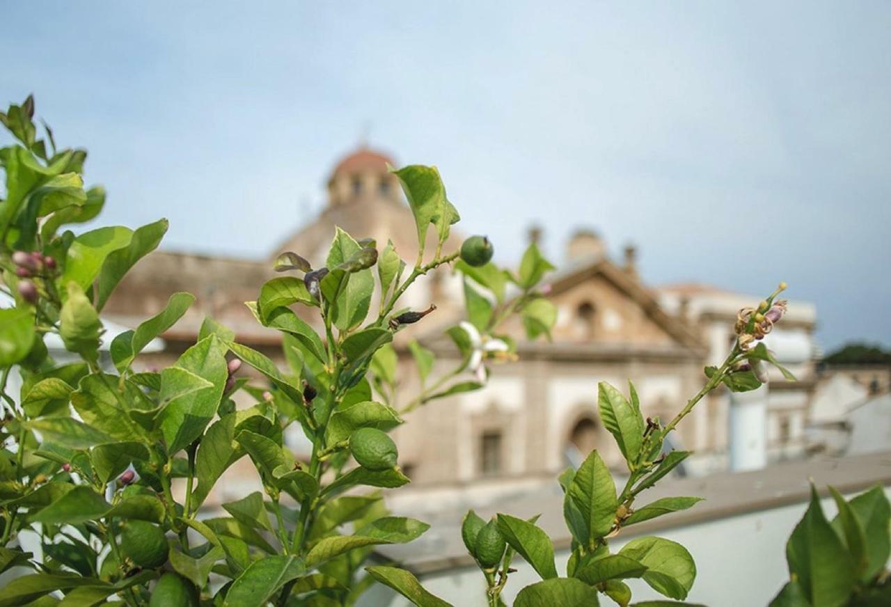 Kalsa Casa Di Charme Con Terrazza By Wonderful Italy Apartment ปาแลร์โม ภายนอก รูปภาพ
